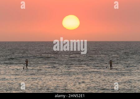 Wunderschöner Sonnenuntergang am uruguayischen Strand mit Pflanzen im Vordergrund Stockfoto