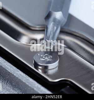 Schraube und Bit-Schraubendreher mit Torx-Schlüsselschlitzen in Nahaufnahme. Makrofotografie. Stockfoto