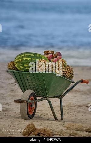 Ile de Majorque, Plage, Site Remarquables, marais salants, Port et phares, grottes, bateaux, vie locale, moulins, palmiers, Touristisme, Côte rocheuse Stockfoto