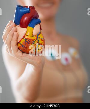 Herzgesundheitskonzept, kardialer Belastungstest. Frau hält während eines Herztests mit Sensoren ein anatomisches Modell des menschlichen Herzens in der Hand vor sich Stockfoto