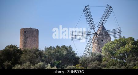 Ile de Majorque, Plage, Site Remarquables, marais salants, Port et phares, grottes, bateaux, vie locale, moulins, palmiers, Touristisme, Côte rocheuse Stockfoto