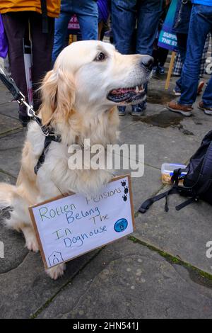 Bristol, Großbritannien. 14th. Februar 2022. Lilie möchte, dass ihre Rente in Hundejahren berechnet wird. Universitätsdozenten ergreifen 10 Tage Streikaktion oder ‘Aktion kurz vor einem Streik' über Streitigkeiten über die Bezahlung und das USS-Pensionssystem. Die Mitglieder der University and College Union (UCU) wurden von Studenten und anderen lokalen Gruppen unterstützt. Eine Gruppe versammelte sich vor den Victoria Rooms und nach Reden und Protesten ging die Kundgebung friedlich die Park Street entlang und verteilte sich auf College Green. Kredit: JMF Nachrichten/Alamy Live Nachrichten Stockfoto