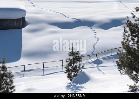 Baramulla, Indien. 12th. Februar 2022. Ein Blick auf schneebedeckte Pisten an einem sonnigen Tag in Gulmarg. Gulmarg ist eine Stadt, eine Bergstation, ein beliebtes Skiziel und ein mitteiltes Gebietskomitee im Baramulla-Distrikt Jammu und Kaschmir. Die Stadt liegt in der Pir Panjal Range im westlichen Himalaya und liegt innerhalb der Grenzen des Gulmarg Wildlife Sanctuary. Kredit: SOPA Images Limited/Alamy Live Nachrichten Stockfoto