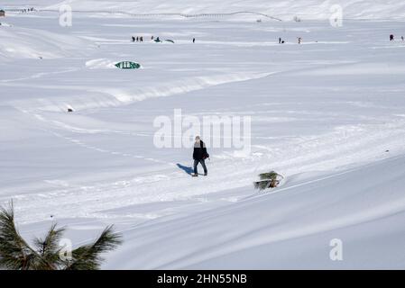 Baramulla, Indien. 12th. Februar 2022. Ein Mann geht an einem sonnigen Tag in Gulmarg auf einer schneebedeckten Piste. Gulmarg ist eine Stadt, eine Bergstation, ein beliebtes Skiziel und ein mitteiltes Gebietskomitee im Baramulla-Distrikt Jammu und Kaschmir. Die Stadt liegt in der Pir Panjal Range im westlichen Himalaya und liegt innerhalb der Grenzen des Gulmarg Wildlife Sanctuary. Kredit: SOPA Images Limited/Alamy Live Nachrichten Stockfoto