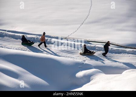 Baramulla, Indien. 12th. Februar 2022. An einem sonnigen Tag in Gulmarg ziehen Männer ihre Schlitten auf schneebedecktem Weg. Gulmarg ist eine Stadt, eine Bergstation, ein beliebtes Skiziel und ein mitteiltes Gebietskomitee im Baramulla-Distrikt Jammu und Kaschmir. Die Stadt liegt in der Pir Panjal Range im westlichen Himalaya und liegt innerhalb der Grenzen des Gulmarg Wildlife Sanctuary. Kredit: SOPA Images Limited/Alamy Live Nachrichten Stockfoto