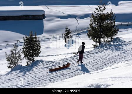 Baramulla, Indien. 12th. Februar 2022. Ein Mann zieht an einem sonnigen Tag in Gulmarg seinen Schlitten. Gulmarg ist eine Stadt, eine Bergstation, ein beliebtes Skiziel und ein mitteiltes Gebietskomitee im Baramulla-Distrikt Jammu und Kaschmir. Die Stadt liegt in der Pir Panjal Range im westlichen Himalaya und liegt innerhalb der Grenzen des Gulmarg Wildlife Sanctuary. Kredit: SOPA Images Limited/Alamy Live Nachrichten Stockfoto
