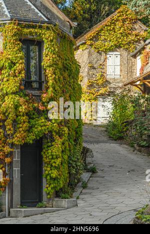 Saint-Céneri-le-Gérei gilt als eines der schönsten Dörfer Frankreichs. Im Herbst erstrahlen die Reben, die die Fassaden erobert haben, in goldenem Kol Stockfoto