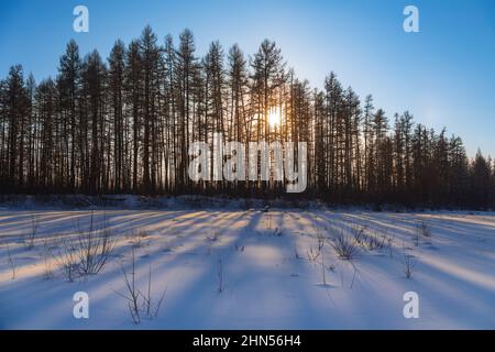 Winterlandschaft im Norden bei Sonnenaufgang. Die Sonnenstrahlen erleuchten den Schnee durch den Wald und hinterlassen Schatten. Stockfoto