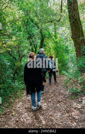 Souce des Nayes, Saint Zacchare, Var France Paca Stockfoto