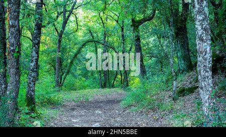 Souce des Nayes, Saint Zacchare, Var France Paca Stockfoto