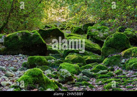 Souce des Nayes, Saint Zacchare, Var France Paca Stockfoto