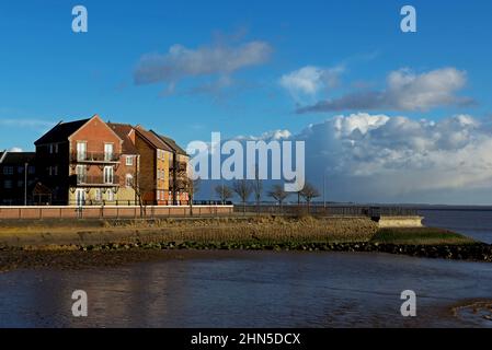 Wohnungen in Victoria Docks, Hull, Humberside, East Yorkshire, England Stockfoto