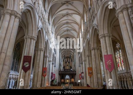 Blick auf das Mittelschiff im Beverley Minster in Beverley, East Riding of Yorkshire, Großbritannien. Stockfoto