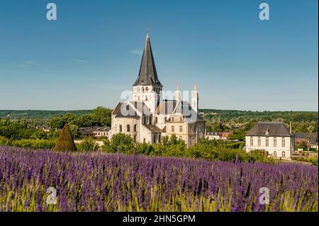 Die Abtei Saint-Georges-de-Boscherville wurde von Benediktinermönchen in Saint-Martin-de-Boscherville in der Nähe von Rouen, Normandie, Frankreich gegründet Stockfoto