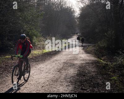 Wanderer Radfahrer und Wanderer auf dem Weg in Epping Forest, Essex Stockfoto