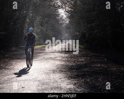 Wanderer Radfahrer und Wanderer auf dem Weg in Epping Forest, Essex Stockfoto