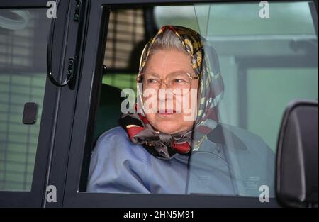 Die Königin sah Prinz Phillip bei Carriage Racing, Royal Windsor Horse Show, Windsor, Berkshire, an. Großbritannien Mai 1991 Stockfoto