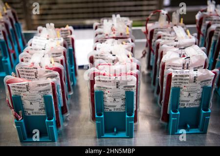 10. Februar 2021, Niedersachsen, Oldenburg: Bluteinheiten werden vom Deutschen Roten Kreuz (DRK) am Standort Oldenburg im Kühlraum gelagert. Foto: Sina Schuldt/dpa Stockfoto