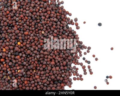Trockene Senf schwarze Samen auf dem weißen Hintergrund isoliert Stockfoto