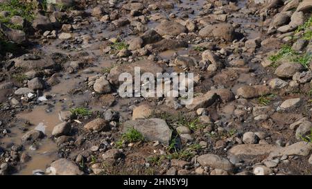 Ein Weg in den Schlamm und Pfützen auf der schmutzigen Straße. Schlammpfützen nach Regen, schmutziger Boden. Stockfoto
