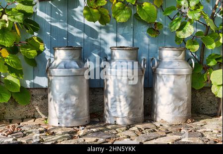 Drei Kirns auf einem Bauernhof mit Holzhintergrund Stockfoto