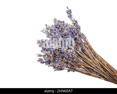 Getrocknete Lavendelblüten isoliert auf dem weißen Hintergrund Stockfoto