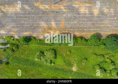 Top-Down-Luftbild von alten verlassenen Bahngleisen im Sommer entlang einer Reihe von grünen Bäumen. Stockfoto