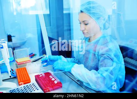 Wissenschaftlerin macht PCR-DNA-Tests in einem modernen chemischen und bakteriologischen Labor. Stockfoto