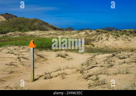 Schild, das die richtige Richtung entlang des Wanderwegen durch die Sanddünen bei Cape Maria van Diemen, Northland, Neuseeland anzeigt Stockfoto