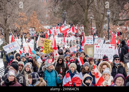 Protestierende des Trucker Konvois versammeln sich zum zweiten Mal in Folge im Queen's Park, Toronto, um sich solidarisch mit Anti-Mandats-Demonstrationen zu zeigen. Es kommt Stockfoto