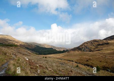 Glen Trool in der Nähe von Newton Stewart Dumfries und Galloway Scotland Stockfoto