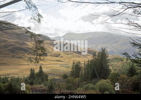 Nadelwald oberhalb von Glen Trool in der Nähe von Newton Stewart Dumfries und Galloway Scotland Stockfoto