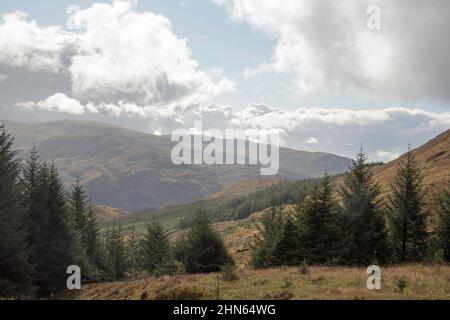 Nadelwald oberhalb von Glen Trool in der Nähe von Newton Stewart Dumfries und Galloway Scotland Stockfoto