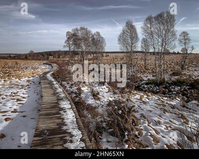 Im Winter ein Holzpfad in der Hohen Fenn-Moorlandschaft mit Schneepfaden zwischen Schilf und Bäumen. Stockfoto