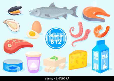 Vitamin B12-Produkte. Gesunde Ernährung, Fisch Milch Käse Ei Lachs Garnelen Thunfisch, Bio-Ernährung, vegane Früchte Ernährung, Energie Mineralien Vektor. Ernährung Lebensmittel und Fleisch, Produkt Ernährung Illustration Stock Vektor