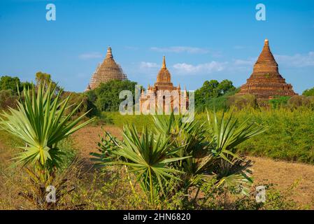 Die alten Tempel von Bagan an einem sonnigen Tag. Old Bagan, Myanmar (Burma) Stockfoto