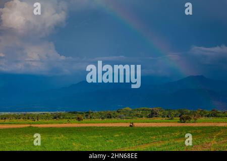 Der Regenbogen über den Anbaufeldern und den majestätischen Bergen der Region Valle del Cauca in Kolumbien Stockfoto