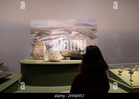 Die Welt von Stonehenge ist Großbritanniens erste große Ausstellung über die Geschichte von Stonehenge Schlüsseldarlehen umfassen die Nebra Sky Disc, die älteste Karte der Welt der Sterne und das erstaunliche hölzerne Denkmal genannt Seahenge, das vor kurzem nach Jahrtausenden aus dem Sand eines Norfolk-Strandes entstand .. Stonehenge wurde vor 4500 Jahren etwa zur gleichen Zeit wie die Sphinx und die große Pyramide von Gizeh in Ägypten gebaut. Fast zwei Drittel der Objekte, die in der Welt von Stonehenge ausgestellt werden, sind Leihgaben, die Objekte von 35 Kreditgebern aus ganz Großbritannien und Europa enthalten und in Großbritannien noch nie gesehen wurden ... Stockfoto