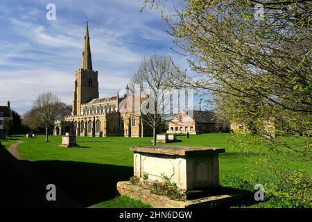 Sommeransicht über St. Wendredas Kirche, March Town, Cambridgeshire, England, Großbritannien Stockfoto