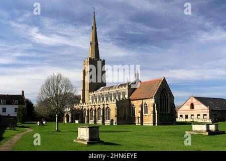 Sommeransicht über St. Wendredas Kirche, March Town, Cambridgeshire, England, Großbritannien Stockfoto