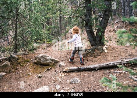 Mädchen wandern in der Wildnis des Mount Evans Stockfoto