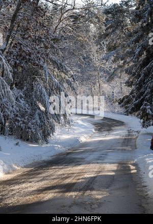 Ein Wintertag im Nickerson State Park, Brewster, Massachusetts, am Cape Cod, USA Stockfoto