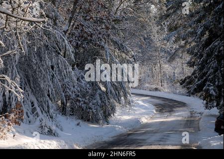 Ein Wintertag im Nickerson State Park, Brewster, Massachusetts, am Cape Cod, USA Stockfoto