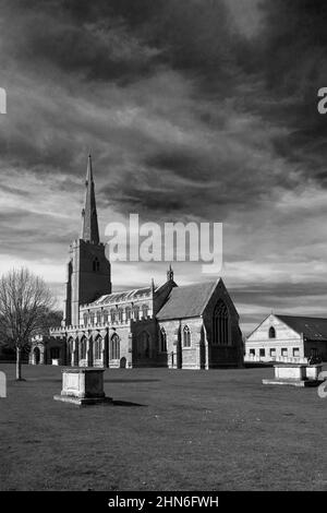 Sommeransicht über St. Wendredas Kirche, March Town, Cambridgeshire, England, Großbritannien Stockfoto