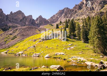 Alpenlandschaft in der Wildnis von Eagles Nest Stockfoto