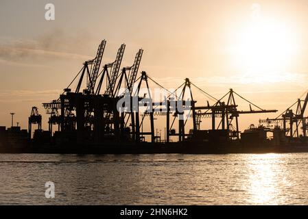 Sonnenuntergang hinter den Ladekranen im Hamburger Hafen Stockfoto