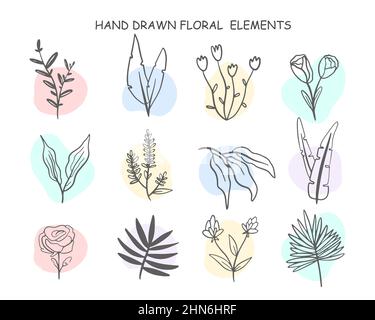 Einlinige Blumen Set. Trendige Frühjahrskollektion mit Wildblumen. Vektordarstellung von Blumenzweigen und Regenbogenflecken. Stock Vektor