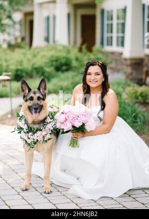 Braut und Schäferhund am Hochzeitstag Stockfoto