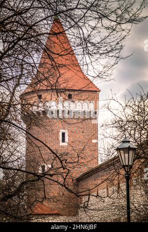 Historischer Turm in der Nähe des Floriantors in Krakau, Polen. Stockfoto