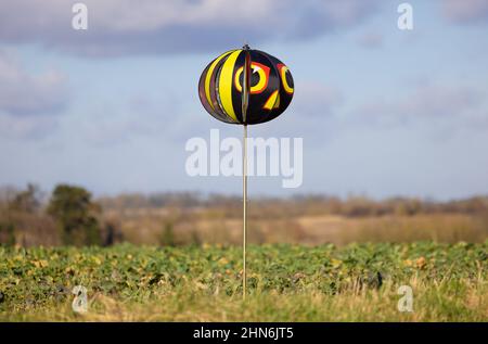 Windgetriebener landwirtschaftlicher Vogel schreckt auf einem Feld, das die Ernte schützt. Stockfoto